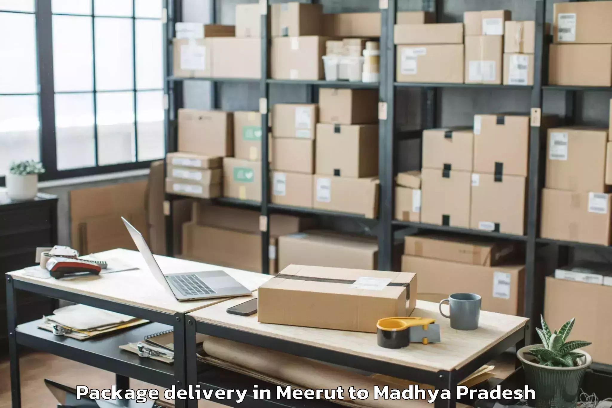 Easy Meerut to Machalpur Package Delivery Booking